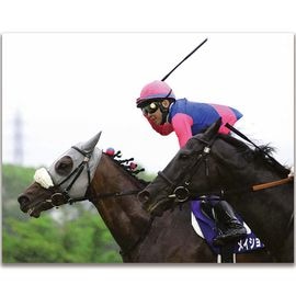 【競馬名場面集！】【お買い得10枚セット】日刊スポーツ 競馬木製写真パネル 競馬写真 | 日刊スポーツショッピング