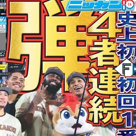 日刊スポーツショッピング |