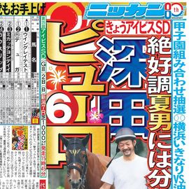 超希少】 スポーツ新聞完品 日刊スポーツ タイキシャトル