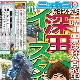 日刊スポーツ報道写真集 ニッカン50周年非売品 日刊スポーツショッピング |