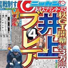 日刊スポーツショッピング |