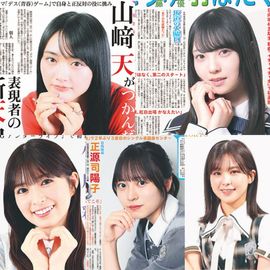 日刊スポーツショッピング |