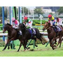 日刊スポーツショッピング |