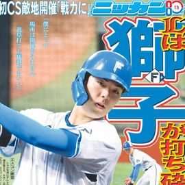 日刊スポーツ 2000G1RACE PHOTO COLLECTION 日刊スポーツショッピング | 商品一覧