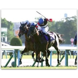 日刊スポーツショッピング | 商品一覧