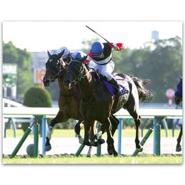 日刊スポーツショッピング |