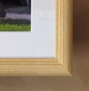 ̵2024ǯ ꥶ٥ա̿ڻڥ磻ɡB4ˡۡ¾ʤȤƱԲġ