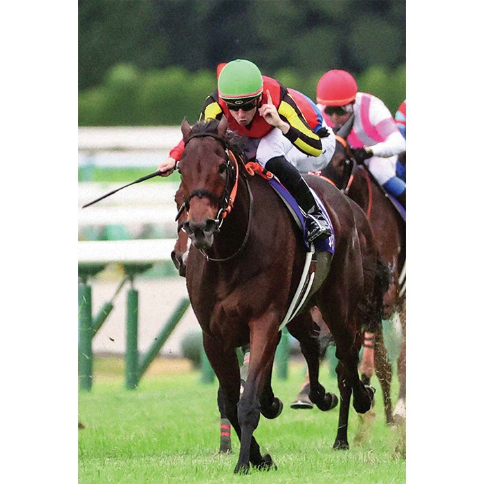 ̵2024ǯ ꥶ٥ա̿ڻڥ磻ɡB4ˡۡ¾ʤȤƱԲġ