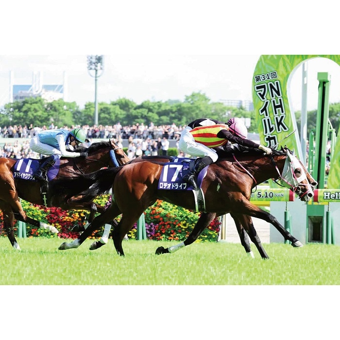 ������̵����2026ǯ NHK�ޥ��륫�å� ����������̿��ڻ��ڥ磻�ɡ�B4�������ˡۡ�¾���ʤȤ�Ʊ���Բġ�