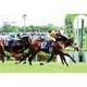 ������̵����2026ǯ NHK�ޥ��륫�å� ����������̿��ڻ��ڥ磻�ɡ�B4�������ˡۡ�¾���ʤȤ�Ʊ���Բġ�