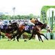 ������̵����2026ǯ NHK�ޥ��륫�å� ����������̿� ��Ⱦ�ڡ�A3�������ˡۡ�¾���ʤȤ�Ʊ���Բġ�