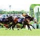 ������̵����2026ǯ NHK�ޥ��륫�å� ����ѥͥ�������ѥͥ�ۡ�¾���ʤȤ�Ʊ���Բġ�
