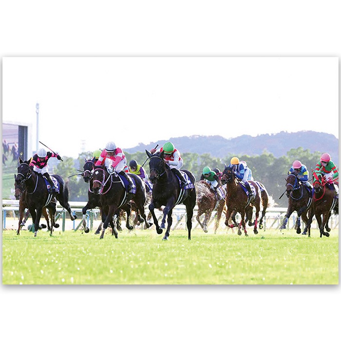 ̵2024ǯ ٥ʥե꡼̿ڻڥ磻ɡB4ˡۡ¾ʤȤƱԲġ