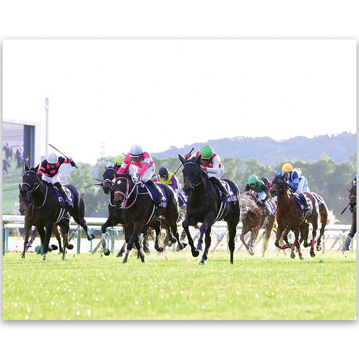 ̵2024ǯ ٥ʥե꡼ѥͥѥͥʣˡۡ¾ʤȤƱԲġ