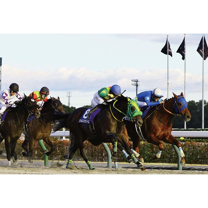 ̵2024ǯ ԥ󥺥åס̿ڻڥ磻ɡB4ˡۡ¾ʤȤƱԲġ