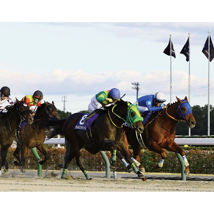 ������̵����2024ǯ �����ԥ��󥺥��åס�����ѥͥ�������ѥͥ�ʣ����������ˡۡ�¾���ʤȤ�Ʊ���Բġ�