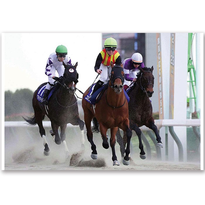 ������̵����2025ǯ �ե��֥�꡼���ơ�����������������̿��ڻ��ڥ磻�ɡ�B4�������ˡۡ�¾���ʤȤ�Ʊ���Բġ�