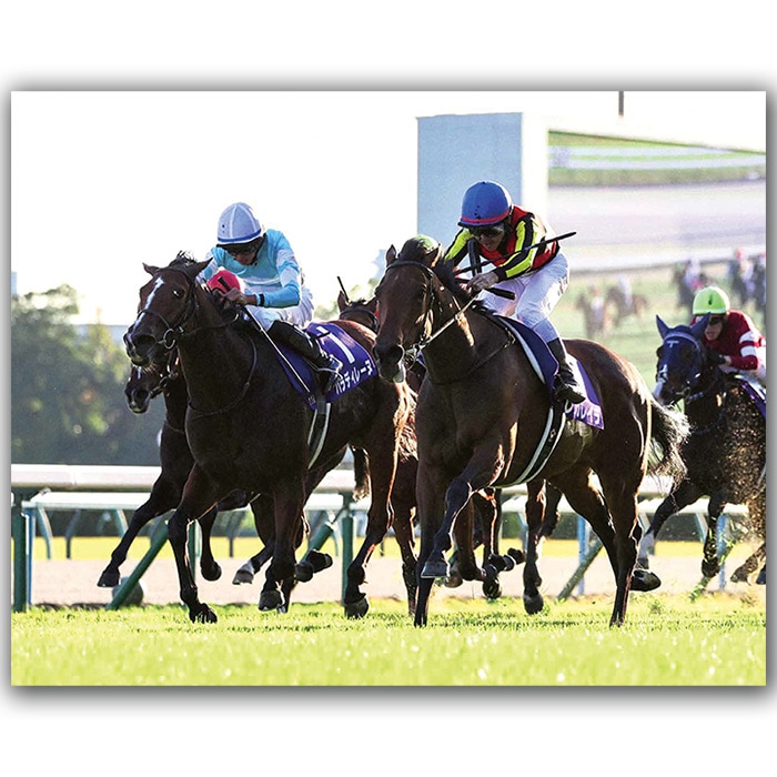 送料無料】2025年 エリザベス女王杯 木製額入り写真 【半切（A3サイズ