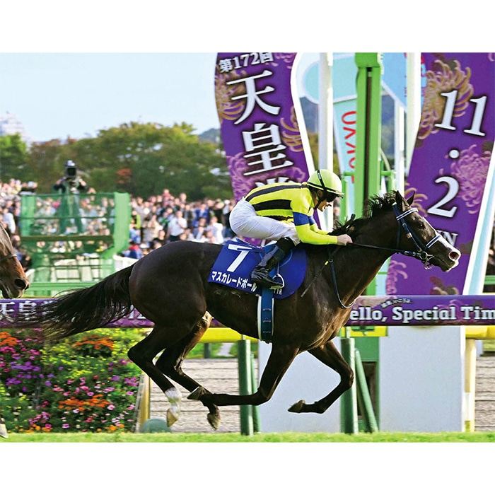 送料無料】2025年 天皇賞秋 木製額入り写真 【半切（A3サイズ）】【他