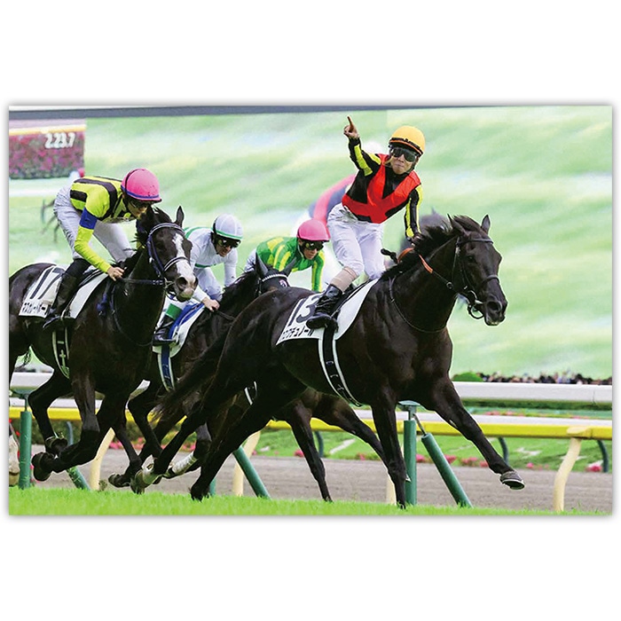 ������̵����2025ǯ ���ܥ����ӡ� ����������̿��ڻ��ڥ磻�ɡ�B4�������ˡۡ�¾���ʤȤ�Ʊ���Բġ�