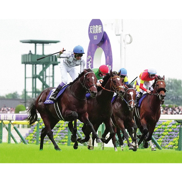競馬.ドウデュース.パネル.競馬ブック.天皇賞(秋).予約限定ポスター 競馬.ドウデュース.パネル.競馬ブック.天皇賞(秋).予約限定ポスター