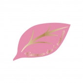 �꡼�եԥå��ʥԥ󥯡�