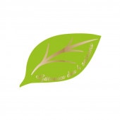 �꡼�եԥå��ʥ饤�ȥ��꡼���