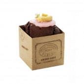 CB21�����塼�֥��å�55���åǥ���