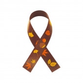 ��������ե��쥹�ȥ�ܥ�12.6����(�֥饦��)