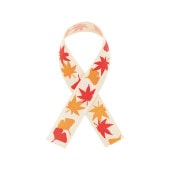 ���ե�ܥ�12.6�� ���꡼��