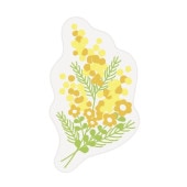 ��̵������ץ�ۥ��������ե��ԥå�