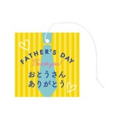 ������ڡ��ѡ���������