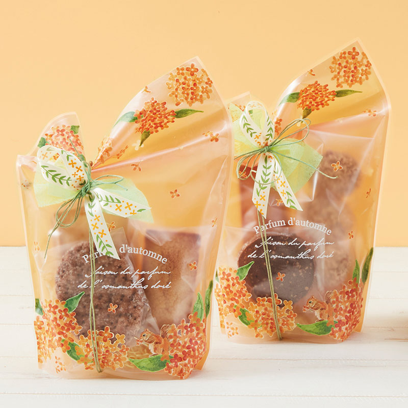 ���ںԥ��������