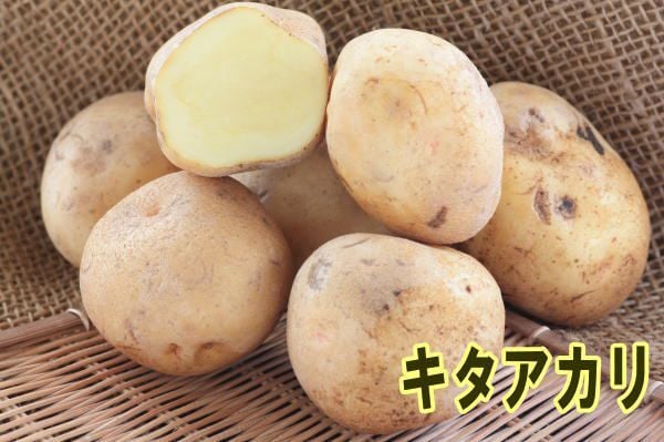 �ڼ兩�㥬���⡦�襤��֤ۡ���������סʥ���������ˤμ露�㤬���⡡�󣱣�������ڽե��㥬�����ѣ������ܡ������ȯ���ۡ���������