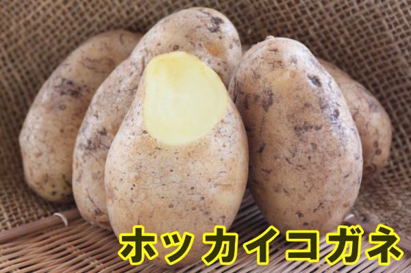 �ڼ兩�㥬���⡦�襤��֤ۡۤä��������͡ʥۥå��������͡ˡפμ露�㤬���⡡�󣵣��������ڽե��㥬�����ѣ������ܡ������ȯ����