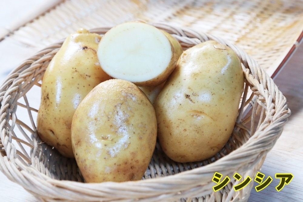 �ڼ兩�㥬���⡦�襤��ۥե����ݥƥȡ֥��󥷥��פμ露�㤬���⡡�󣵣��������ڽե��㥬�����ѣ������ܡ������ȯ���ۡ��ʼ�̾�����󥷥�_��Ͽ�ֹ桧��10971��_�������жػߡ�