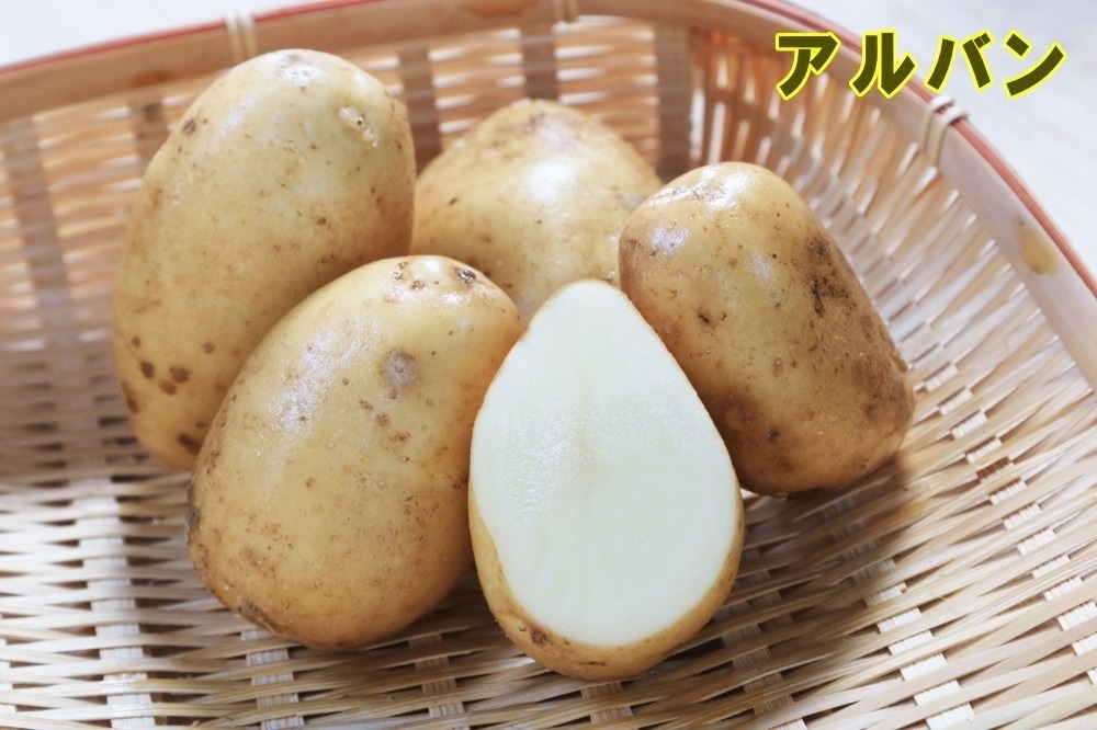 �ڼ兩�㥬���⡦�襤��ۥե����ݥƥȡ֥���Х�פμ露�㤬���⡡�󣵣��������ڽե��㥬�����ѡ��������ܡ������ȯ���ۡ��ʼ�̾������Х�_��Ͽ�ֹ桧��21889��_�������жػߡ�