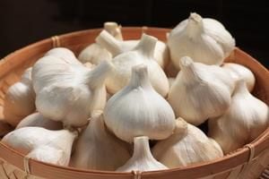 �񻺤ˤ�ˤ��֥ۥ磻��ϻ�ҥ˥�˥����󣵣���������