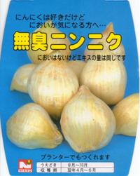 �񻺤ˤ�ˤ���̵���˥�˥����󣵣���������