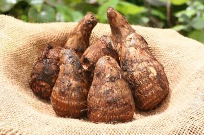 �ڹ񻺡۸��Τ��Ȥ�������������󣵣��������סڤ��ͤ����ѡ�