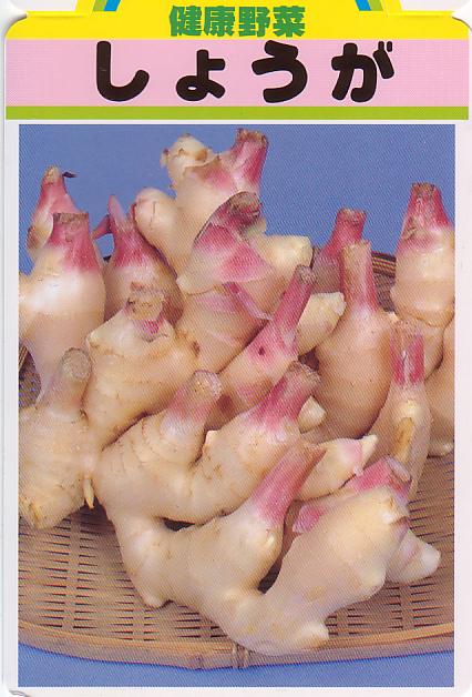 �ڹ񻺥��祦���ֺۡ���路�礦���ס��󣵣��������ڤ��ͤ����ѡۡ�����ܺ�����в�ͽ���