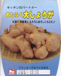 �ڹ񻺥��祦���ۡ��礷�礦���ס��󣵣��������ڤ��ͤ����ѡۡ�����ܺ�����в�ͽ���