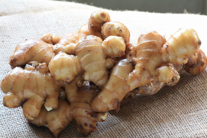 �ڹ񻺥��祦���ۡ������椷�礦���ס��󣵣��������ڤ��ͤ����ѡۡ�����ܺ�����в�ͽ���