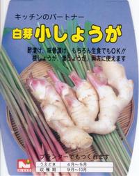 �ڹ񻺥��祦���ۡ���꾮���礦���ס��󣵣��������ڤ��ͤ����ѡۡ�����ܺ�����в�ͽ���