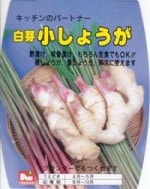 ڹ񻺥祦ۡ꾮礦ס󣵣ڤͤѡۡܺвͽ