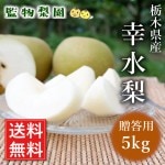 ڸ  5kg1216̡ˡס2025ǯ 82022вʬˡ£ ľ ̵