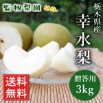 ڸ  3kg79̡ˡס2025ǯ 82022вʬˡ£ ľ ̵