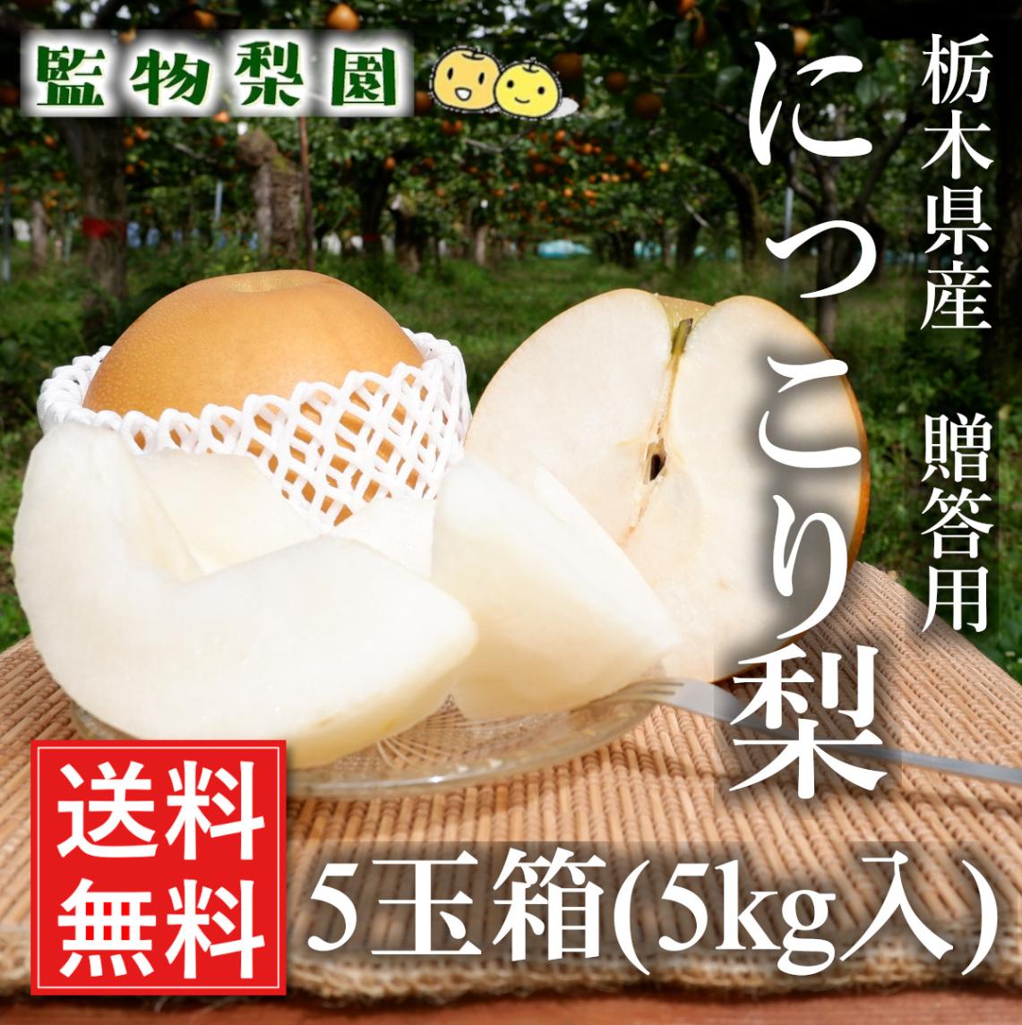 栃木県産「梨 にっこり 5玉入り」【贈答用 産地直送 送料無料】【１０月中旬発送分予約】