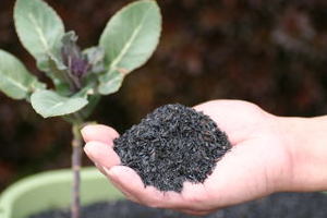 もみがらくん炭」（もみがらくんたん・モミガラクンタン） 約