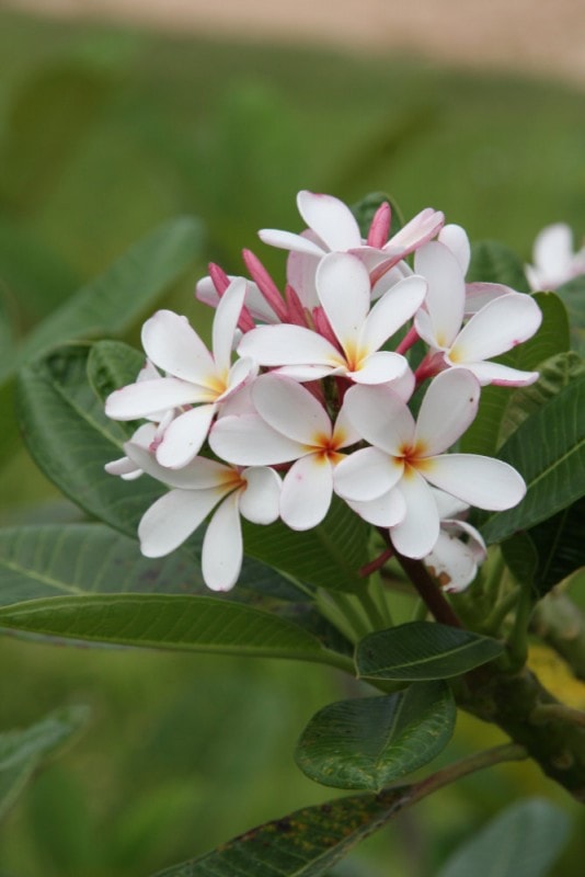 �ȥ��ԥ���ե��֎̎ߎَҎ؎����ޤ������ġ��ˎߎݎ���